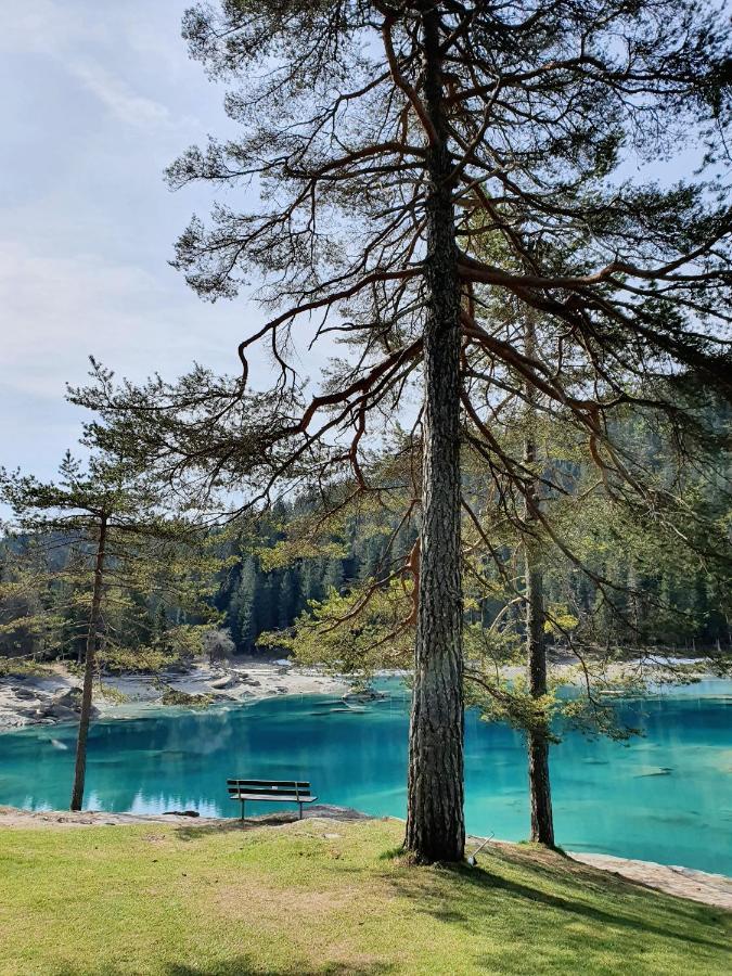 Ferienwohnung Stenna Selva An Toplage Φιλμς Εξωτερικό φωτογραφία